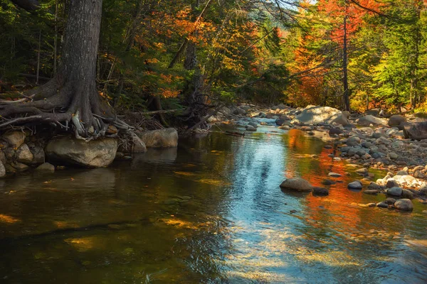秋の風景 カラフルな秋の木々の間の山の川 アメリカだ ホワイトマウンテン国立公園 — ストック写真