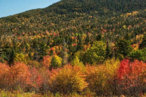 秋の山の中の美しい晴れた日 山の斜面はモトリーの秋の落葉樹林で覆われています アメリカだ メイン州 — ストック写真