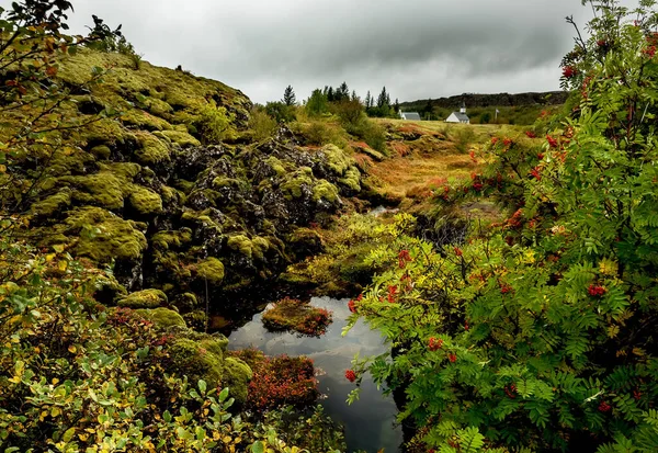 Dramatická Pochmurná Islandská Krajina Kamenité Sopečné Skály Jezero Větvemi Bobulovin — Stock fotografie