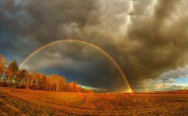 Sonbahar sahasında gökkuşağı olan yatay panoramik manzara, ufukta dramatik fırtına bulutları ve altın orman. Dramatik bulutlar ve güneş ışığı yağmurdan sonra canlı bir kırsal manzara yaratır..