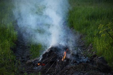 Kuru dalların ve dalların kontrollü bir şekilde yanması yemyeşil bitki örtüsü ve koyu toprak üzerine beyaz bir duman bulutu oluşturur.