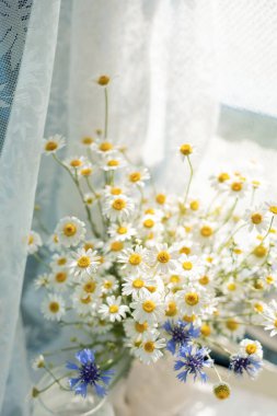 Beyaz papatyalar ve mavi çiçeklerden oluşan güzel bir düzenleme bir pencere kenarında oturur, katıksız dantel kumaşla yumuşak, ruhani bir zemin oluşturur.