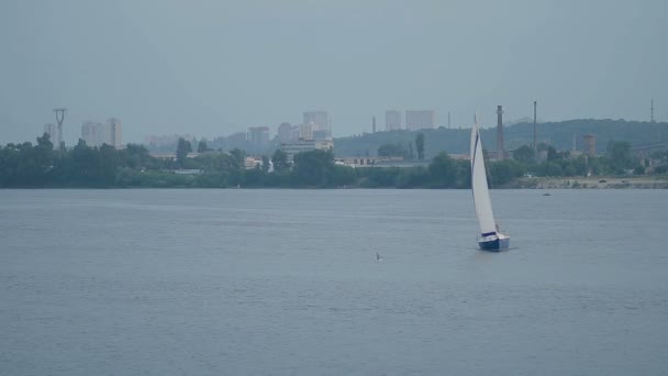 Jacht segelt auf einem Fluss — Stockvideo