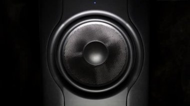 profesyonel stüdyo subwoofer hoparlör izole
