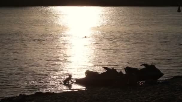 Силуэт гидроцикла на берегу в желтом закате — стоковое видео