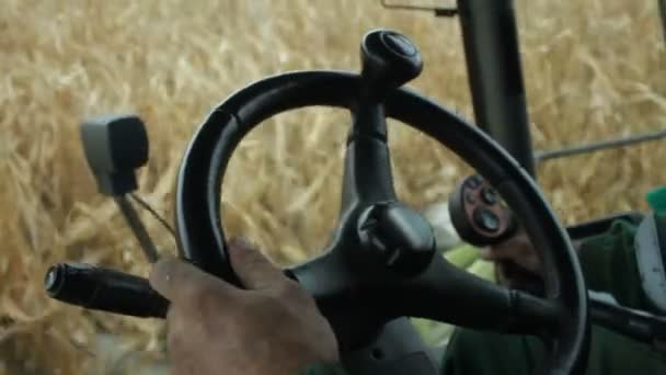 In de cabine van de combine harvester verzamelen van maïs — Stockvideo