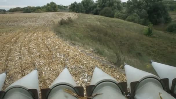 Зернозбиральний комбайн на кукурудзяному полі — стокове відео