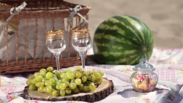 Червоне вино наливається в кришталеві келихи на пікнік — стокове відео