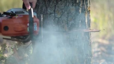 Turuncu testere kesme kuru ağaç adamla