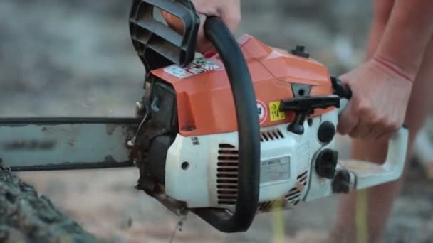 Vrouwelijke hand zagen kofferbak van droog hout met kettingzaag — Stockvideo