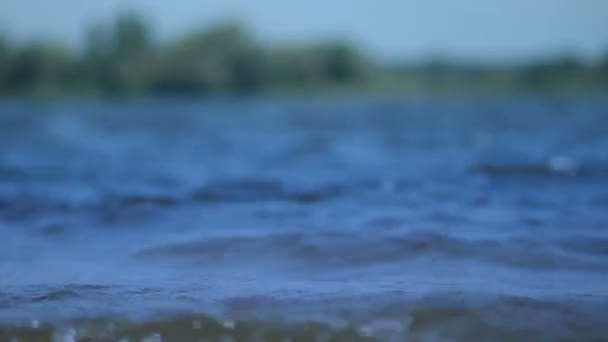 Чистая вода поверхности с рябью низких волн — стоковое видео
