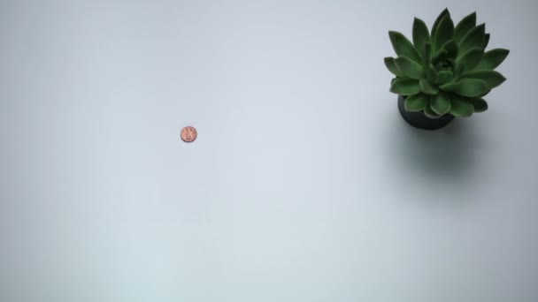 Vintage coins droping on the white table — Stock Video