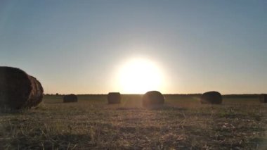 Sahada saman yığınına koşan mutlu kıvırcık kızlar