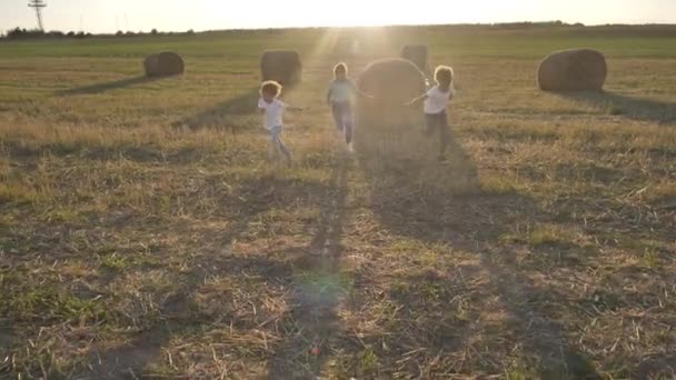 Vrolijke gemengde ras meisjes rennen over het veld — Stockvideo