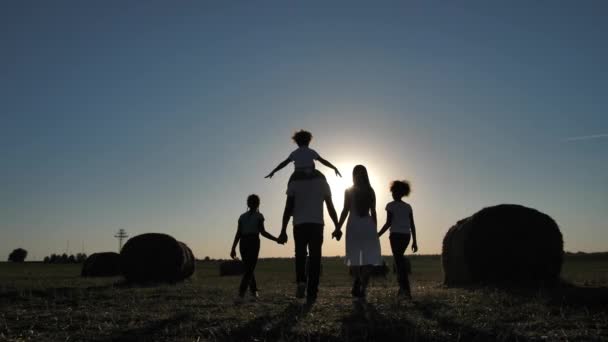 Multietnická rodina kráčí po poli při západu slunce — Stock video