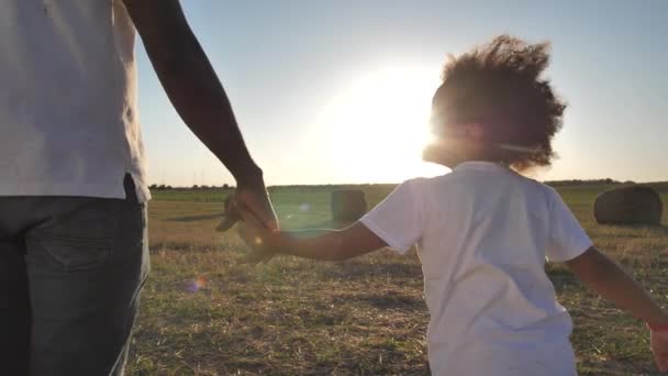 Papá y niña caminando tomados de la mano en el campo de trigo — Vídeos de Stock