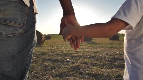 Vater und Kind gehen Hand in Hand über Feld — Stockvideo
