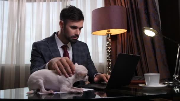 Respectabele man die met puppy aan tafel werkt — Stockvideo