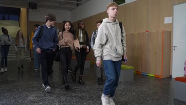 Vänliga skiftande klasskamrater som går genom skolan — Stockvideo