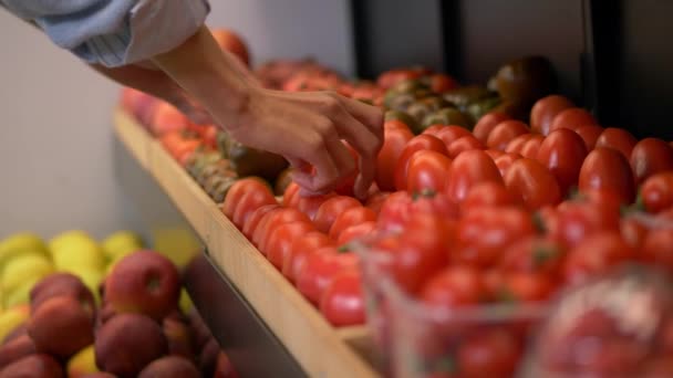 Händer med kvinnlig arbetare som lägger tomater på hyllan — Stockvideo