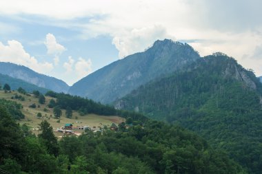 Tara River Kanyonu. Karadağ.
