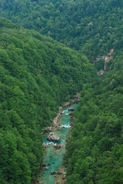 Tara River Canyon. Montenegro. — Stockfoto