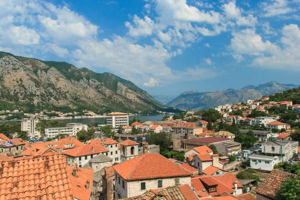 Vue sur la baie et les toits de Kotor. Monténégro . — Photo