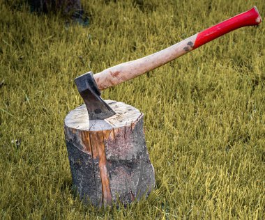 Kuru bir ahşap günlüğüne sıkışmış eski paslı balta