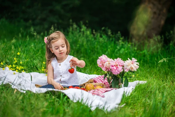 Маленькая девочка отдыхает на пикнике с клубникой — стоковое фото