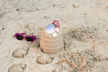 kabukları ve güneş gözlüğü ile kum plaj