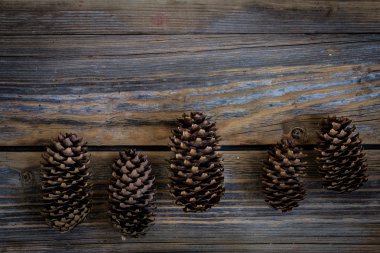 güzel bir ahşap arka plan üzerinde çarpmak