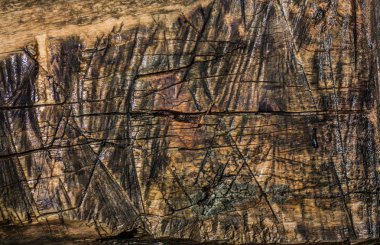 ahşap arka plan, yakın çekim, doğal, ağaç