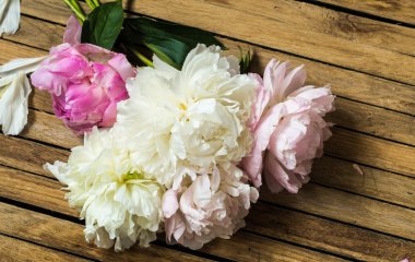 ahşap arka plan üzerinde güzel çiçekler, çeşitli , metin için yer, closeup