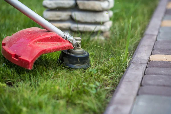 manual lawn mower on the background of green grass