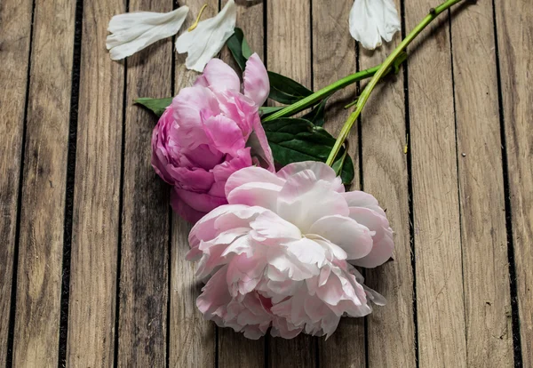 Schöne Blumen auf Holzgrund, verschiedene, Platz für Text, Nahaufnahme — Stockfoto