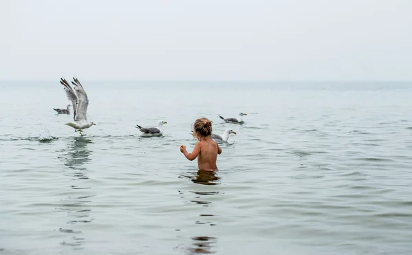 Entzückendes kleines Mädchen füttert Vögel im Meer und spielt — Stockfoto
