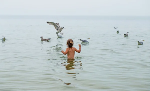 Bedårande liten flicka matar fåglar i havet, spela — Stockfoto