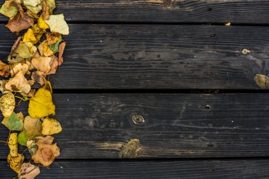 Güzel bir ahşap zemin üzerine sonbahar.