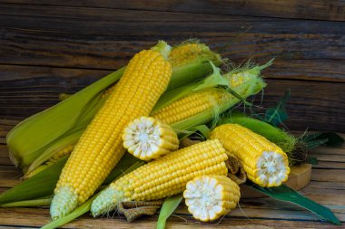 güzel bir genç Mısır