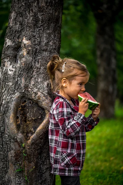 Маленькая девочка ест арбуз летом — стоковое фото