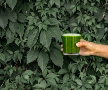 bir bardak yeşil smoothie