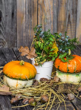 ahşap arka plan üzerinde küçük kabak sonbahar