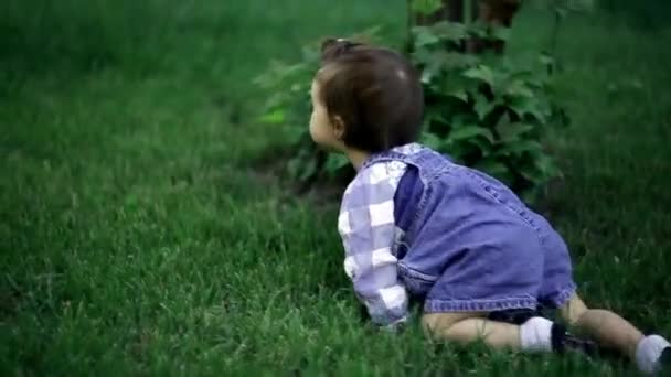 Schattige kleine baby kruipen op handen en voeten in de zomer het groen van het gras. — Stockvideo