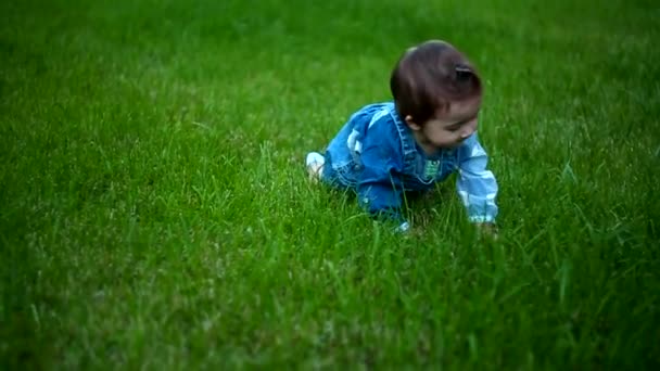 Bebé bonito rastejando de quatro durante o verão o verde da grama . — Vídeo de Stock