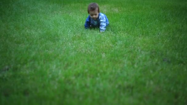 Mignon petit bébé rampant à quatre pattes au cours de l'été le vert de l'herbe .
