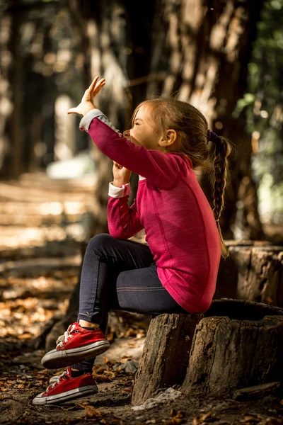 Красивая маленькая девочка сидит на пне в лесу — стоковое фото