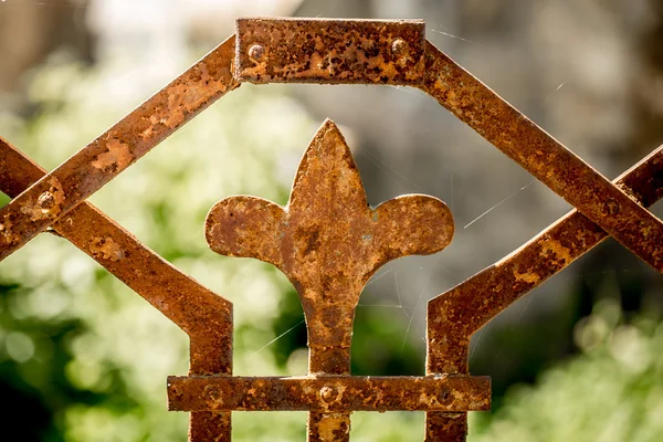 Beautiful pattern of old metal fence — Stock Photo, Image