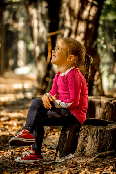 Linda menina sentada em um toco na floresta — Fotografia de Stock