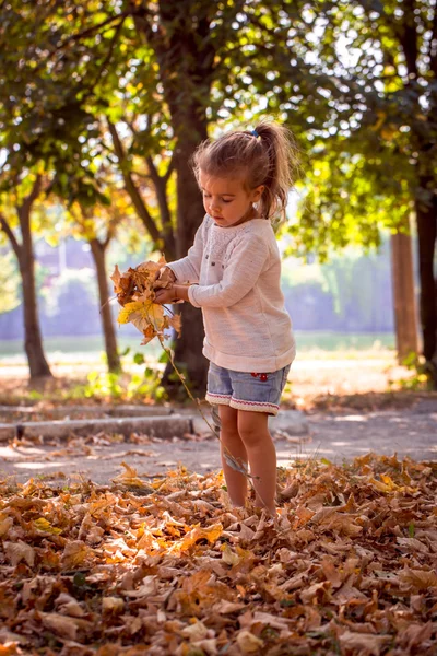 Linda menina brincando no parque com folhas de outono — Fotografia de Stock