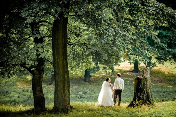 Mariés heureux sur une promenade dans la belle forêt — Photo